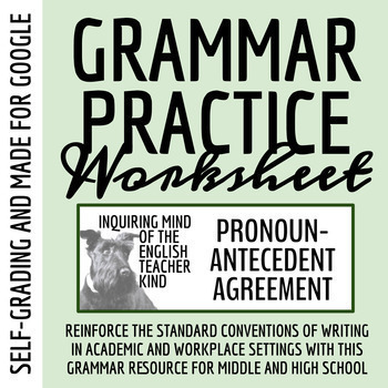 Preview of Grammar Worksheet on Pronoun-Antecedent Agreement for Google (Self-Grading)