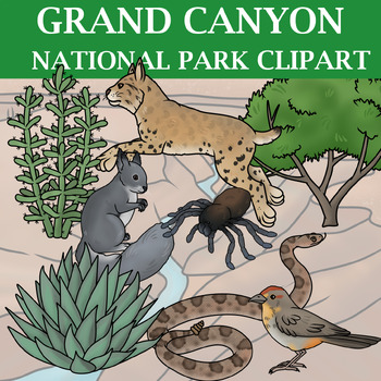 Preview of Grand Canyon National Park Clipart - Plants and Animals of the National Parks