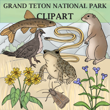 Preview of Grand Teton National Park Clipart - Plants and Animals of the National Parks
