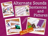 Grapheme Sentences and Pictures