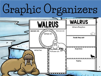 Preview of Graphic Organizer Bundle :  Walrus  - Polar and Arctic Animals