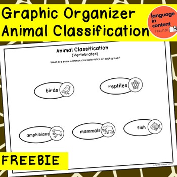 Animal Traits for Classification - Graphic Organizer