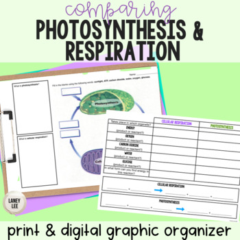 Preview of Photosynthesis and Respiration - Graphic Organizer