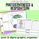 Photosynthesis and Respiration - Graphic Organizer
