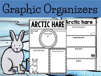 Preview of Graphic Organizer Bundle : Arctic Hares  - Polar and Arctic Animals