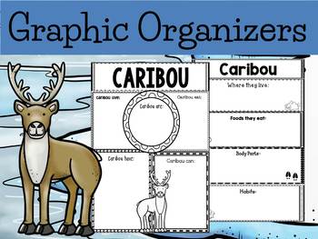 Preview of Graphic Organizers Bundle :  Caribou  - Polar and Arctic Animals