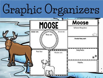 Preview of Graphic Organizers Bundle :  Moose  - Polar and Arctic Animals