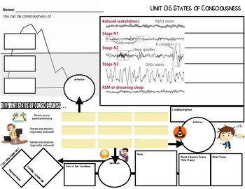 Graphic Organizer States Of Consciousness Tpt