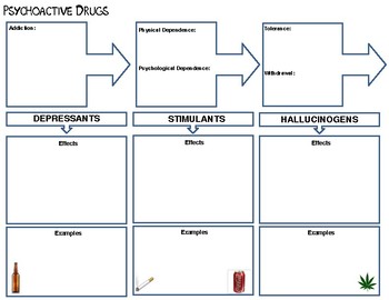 Graphic Organizer States Of Consciousness Tpt