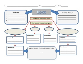 Preview of Graphic Organizer for Lipids