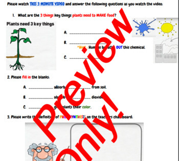 photosynthesis graphic organizer