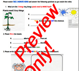 Graphic Organizer for Photosynthesis Explained Video