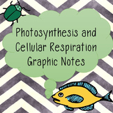 Photosynthesis and Cellular Respiration Graphic Notes