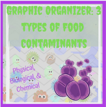 Preview of Graphic Organizer - 3 types of Food Contaminants