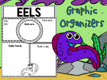 Preview of Graphic Organizers Set : Eels: Sea Ocean Animals, Informational Report