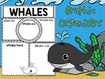 Preview of Graphic Organizers Set : Whales : Sea Ocean Animals, Report, Research
