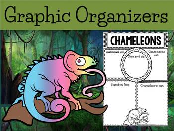 Graphic Organizers Bundle : Chameleons - Animals : Australia, New Zealand