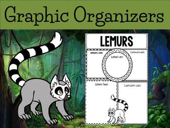 Preview of Graphic Organizers Bundle: Lemurs - Oceania Animals :Madagascar, Australia
