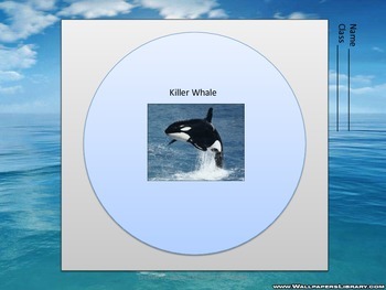 Graphic Organizers for ELLs for Thematic Units on Whales by Boundless ...