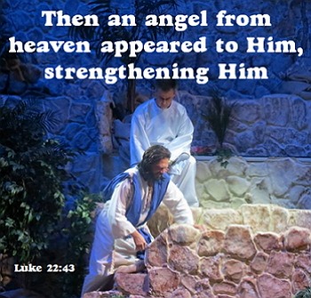 Luke 22:42 Inspirational Images