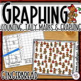Graphing - I Spy counting, tally mark & graphing sheets - 