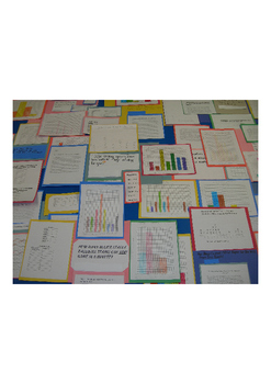 Preview of Graphing Project - Student Survey, Statistics, Descriptive Paragraph, Display