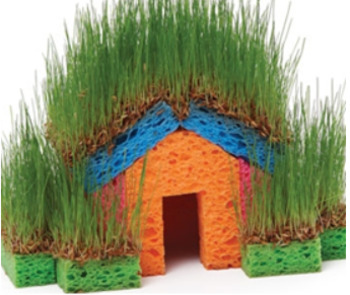 Preview of Grass Seed Sponge House