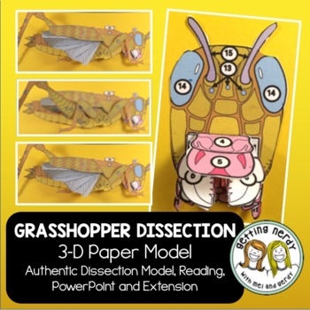 Preview of Grasshopper Paper Dissection - Scienstructable 3D Dissection Model