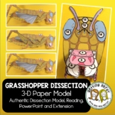 Grasshopper Paper Dissection - Scienstructable 3D Dissecti