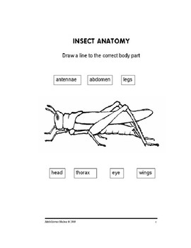 frog dissection crossword puzzle answers biology corner