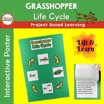 Preview of Grasshopper Life Cycle Project