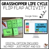 Grasshopper Life Cycle Research Project | No Prep Flip Flap