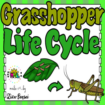 Preview of Grasshopper Life Cycle Pack Flip Book Included 2nd Grade