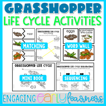 Preview of Grasshopper Life Cycle Word Wall & Activities | Preschool PreK Kindergarten