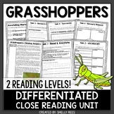 Grasshopper Reading Comprehension Passage & Worksheets