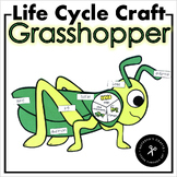 Grasshopper life Cycle Craft Activity