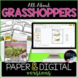 Grasshoppers Differentiated Reading Comprehension Passages