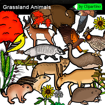 Grassland Animals Clip Art /Prairie Habitats Clip Art /Biomes by Clipartino