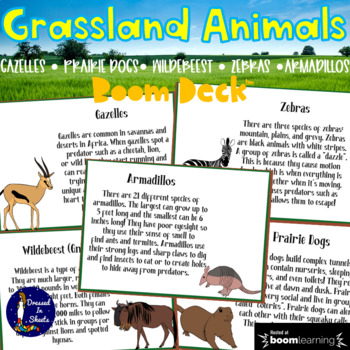Preview of Grassland Animals Facts and Quiz