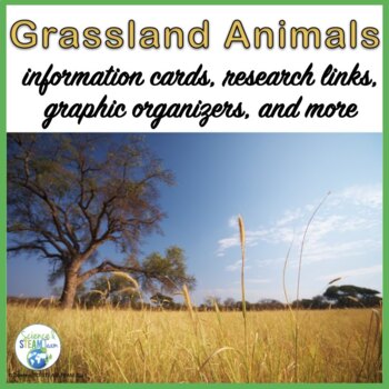 Preview of Grassland Animals Information Cards and Research Project