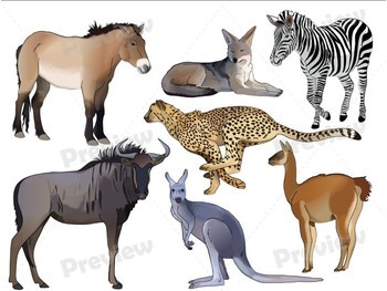 Grassland Animals Realistic Clip Art by UtahRoots | TpT