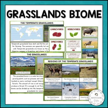 Preview of Grassland Biome Characteristics Animal and Plant Adaptations Montessori