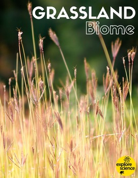Preview of Grassland Biome Activity Kit (Pre-K and K, NGSS & CC)