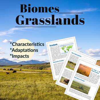 Preview of Grassland Biomes: Climate, Organism Adaptations and Impacts