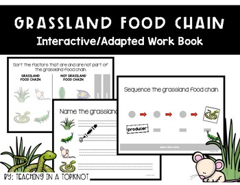 Preview of Grassland Food Chain Adapted Work Book