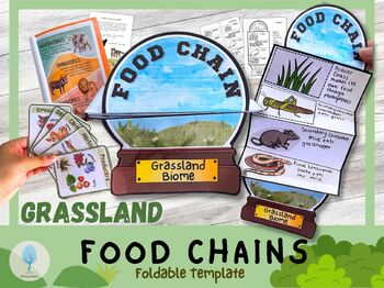 Preview of Grassland Food Chain Unit Study