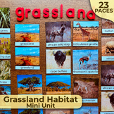 Grassland Habitat Unit, Grassland Biome, Grassland Animals