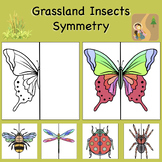 Grassland Insects Lines of Symmetry Drawing Activity - Fun
