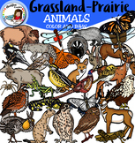 Grassland biome -Prairie- Animals clip art