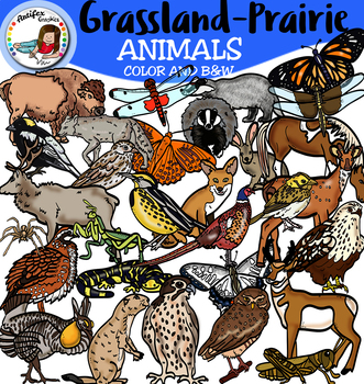 Grassland biome -Prairie clip art by Artifex | TPT